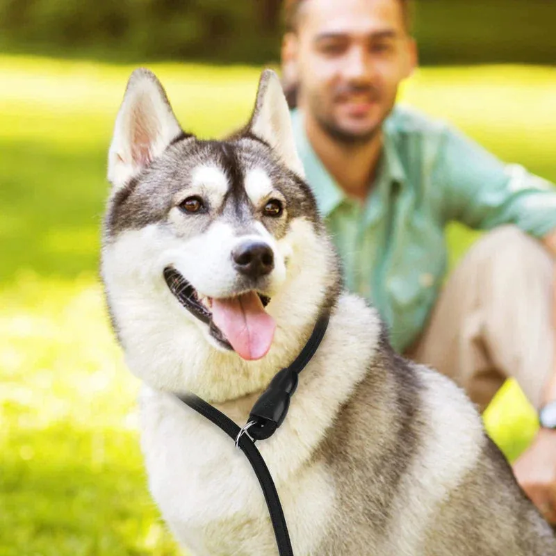 Adjustable Dog Collar Safe Sturdy no Pull Training