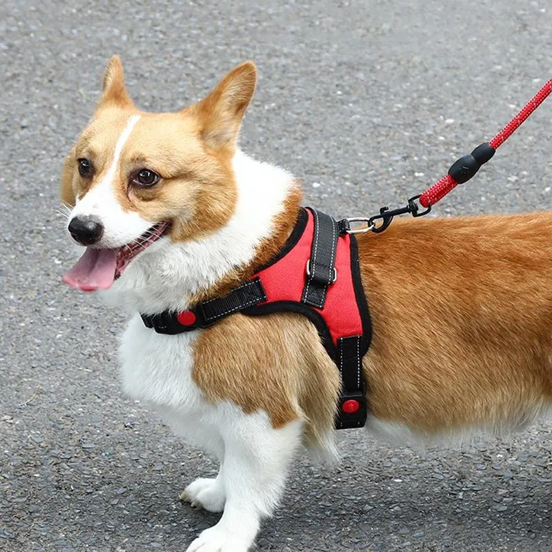 Adjustable K9 Dog Chest Strap - Size Xs