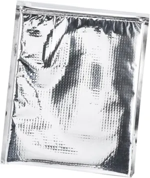 Akozon Thermal Cooler Bag, 5pcs set Aluminum Foil Insulated Food Storage Bag Thermal Cooler Silver (25 * 30cm)