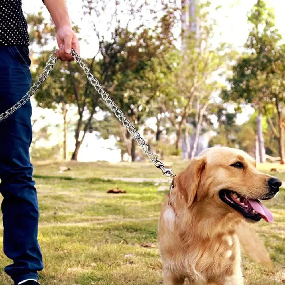 Durable Heavy Duty Comfortable Pu Leather Padded Handle Metal Pet Leash for Medium, Large Dogs