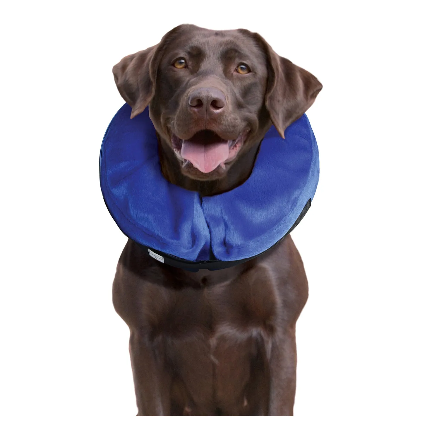 KONG Cloud Recovery Collar