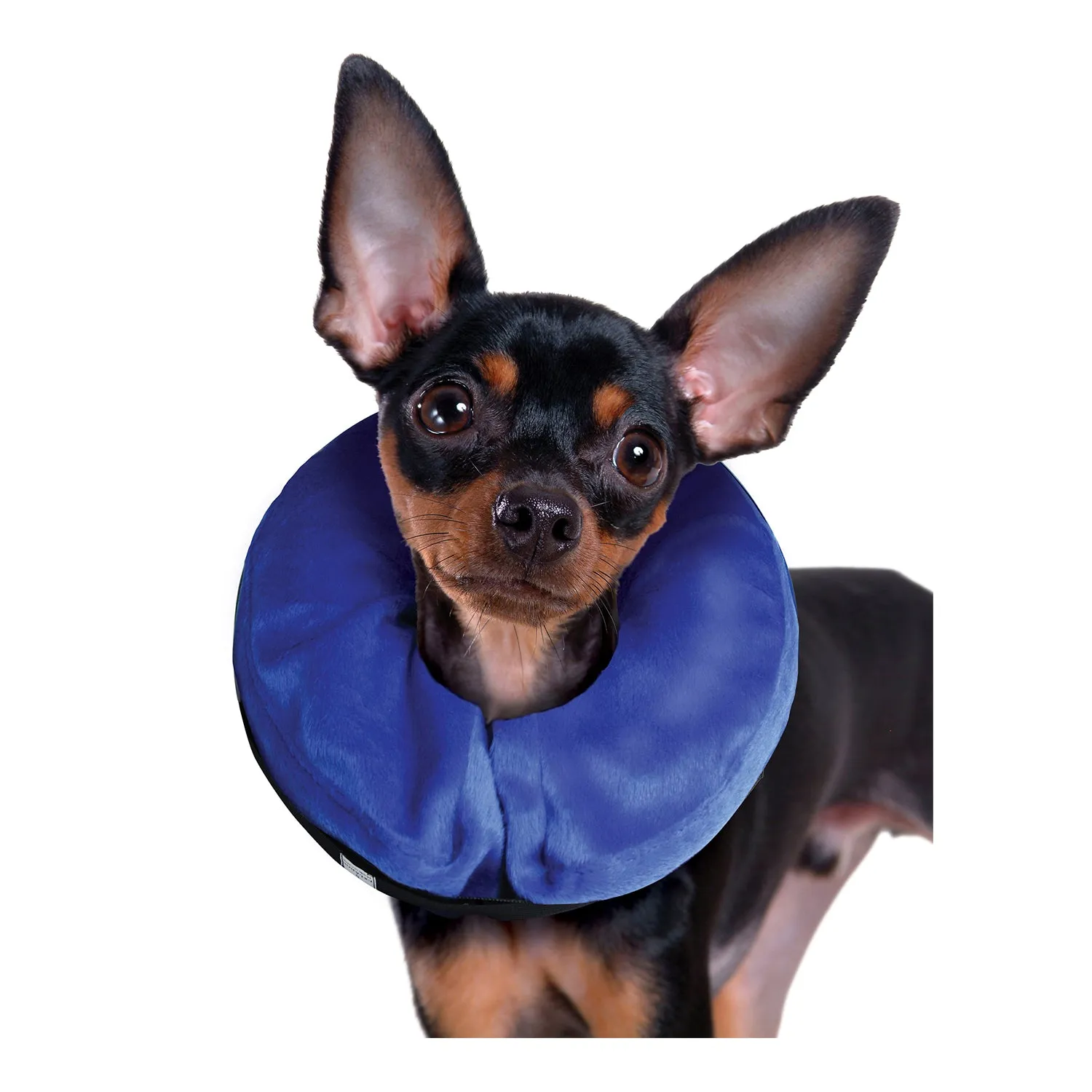 KONG Cloud Recovery Collar