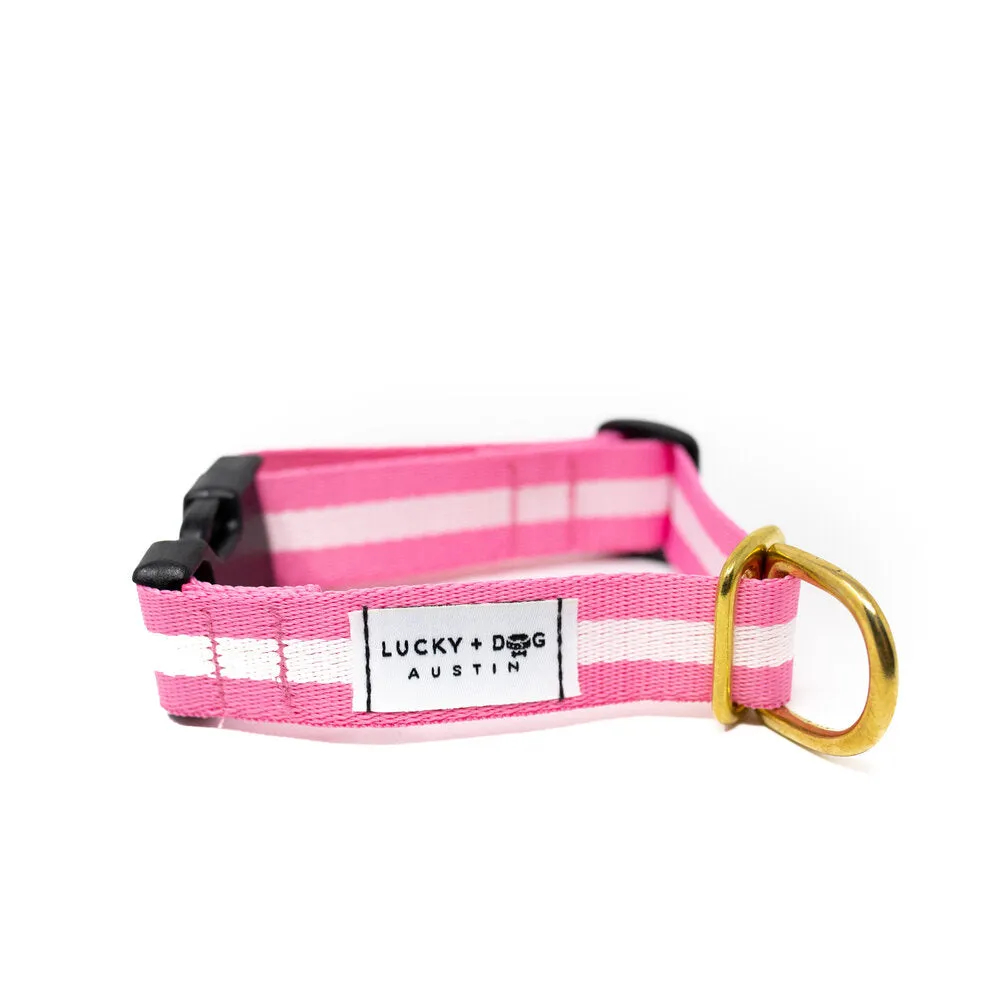 Lucky   Dog Austin Every Day Collar
