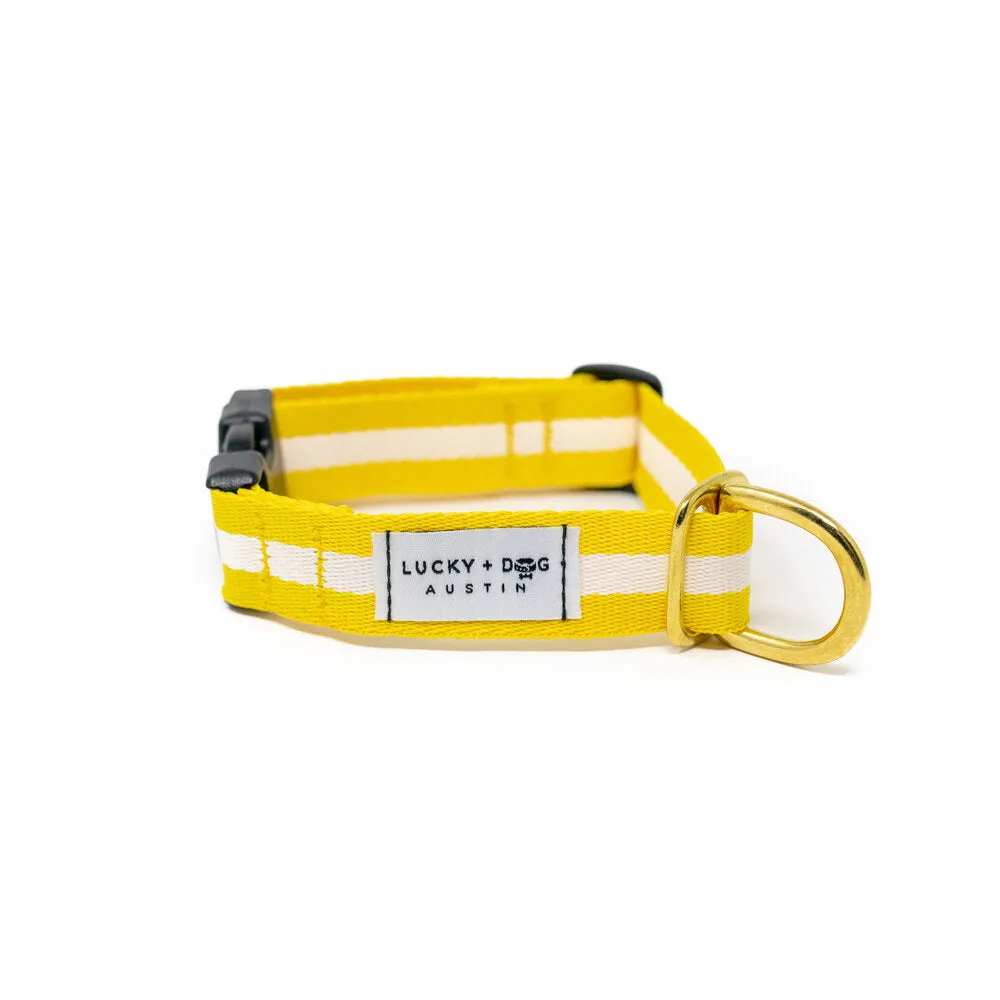 Lucky   Dog Austin Every Day Collar