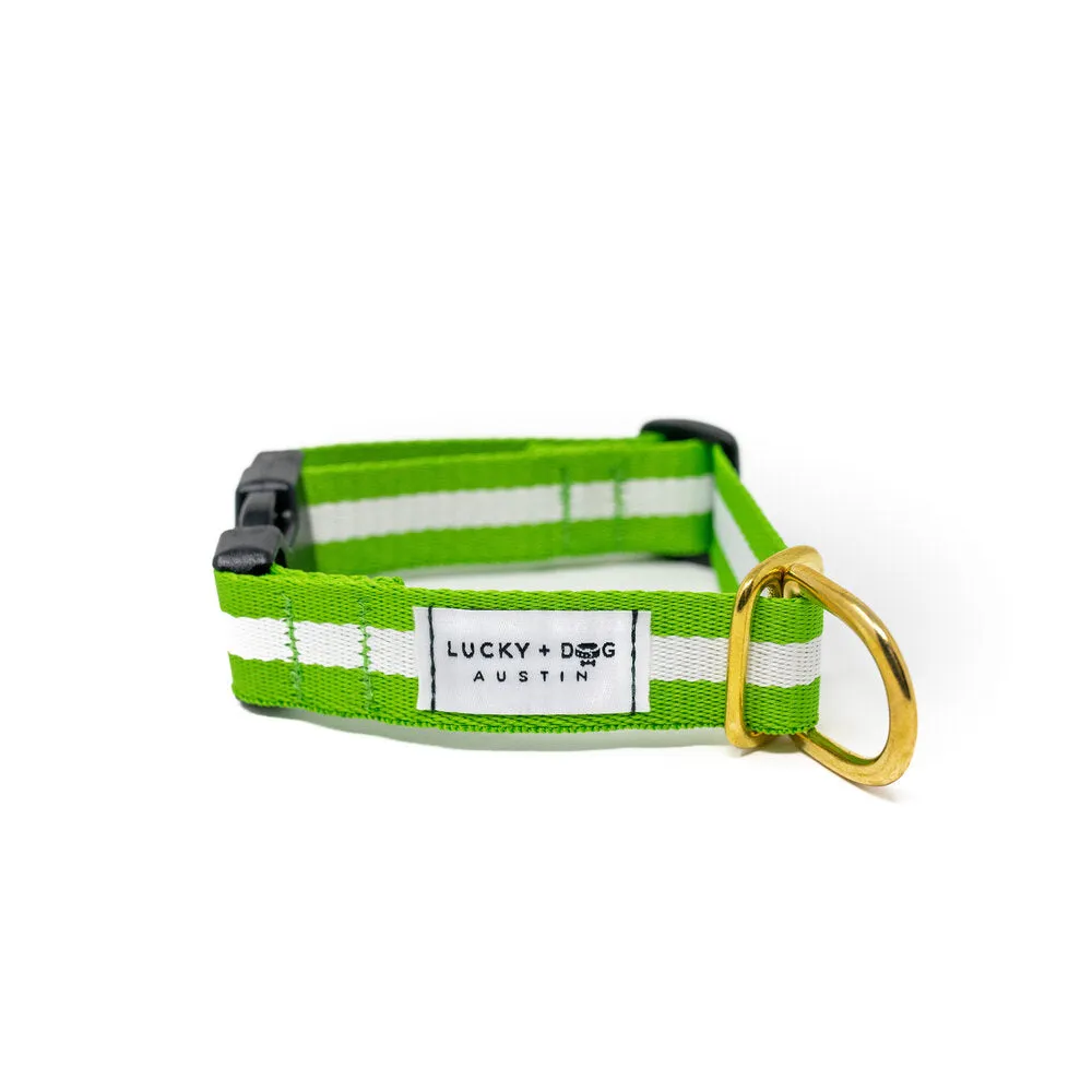 Lucky   Dog Austin Every Day Collar
