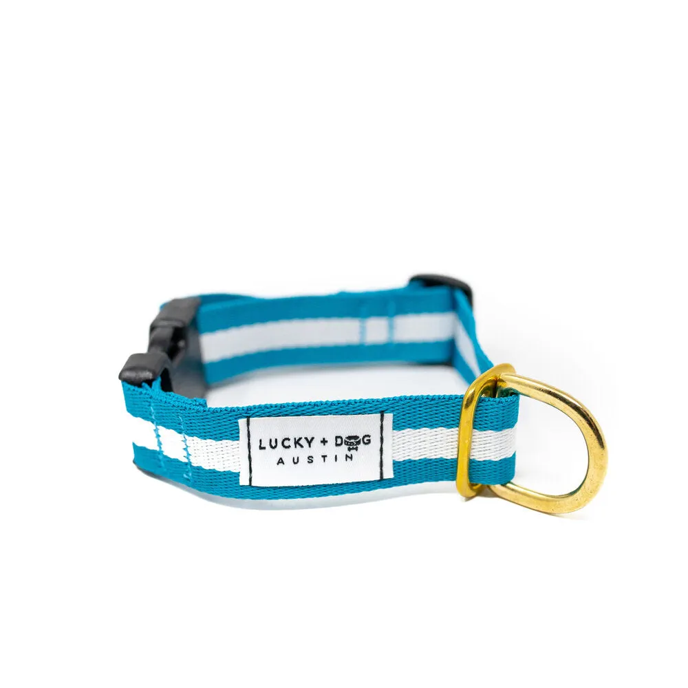 Lucky   Dog Austin Every Day Collar