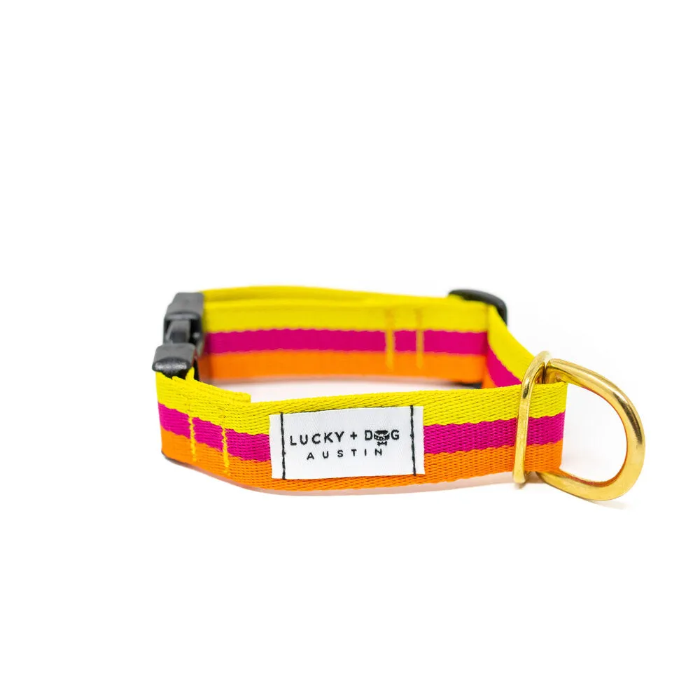 Lucky   Dog Austin Every Day Collar