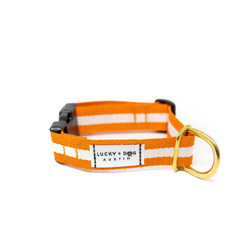Lucky   Dog Austin Every Day Collar