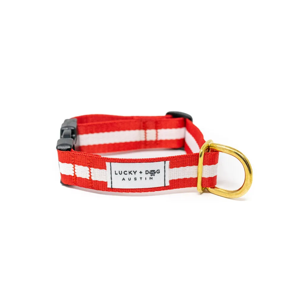 Lucky   Dog Austin Every Day Collar