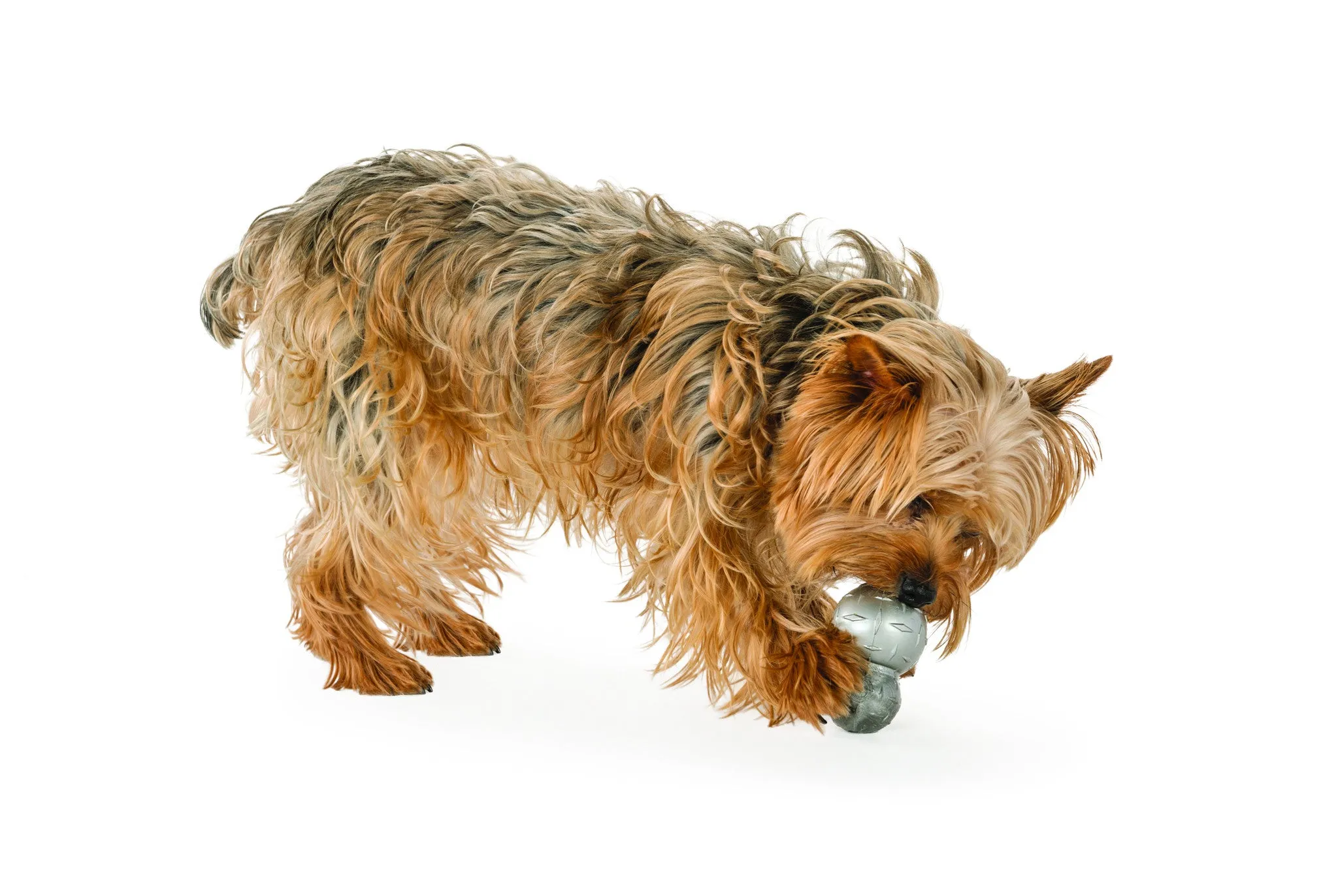 Orbee-Tuff® Diamond Double Plate Ball Dog Toy (Steel)