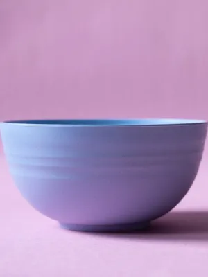 Wheat Straw Bowls Set Of Four